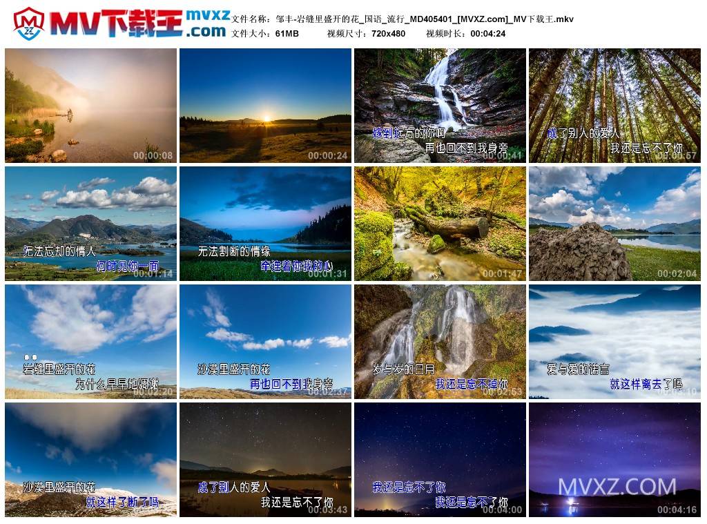 邹丰-岩缝里盛开的花_国语_流行_MD405401